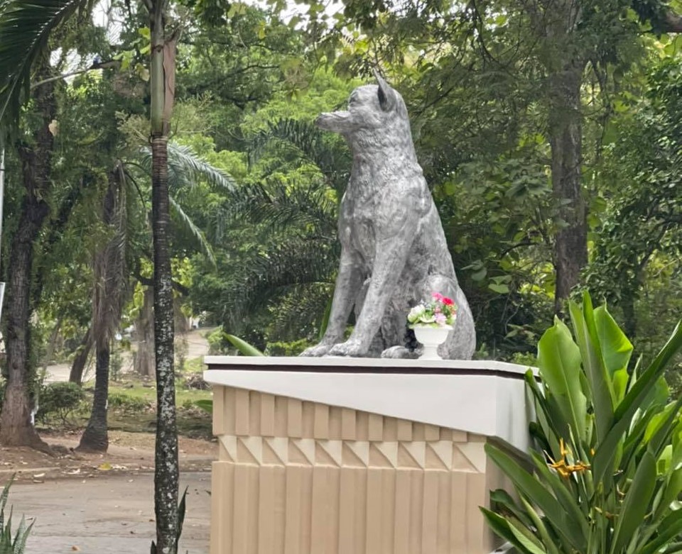 Bildquelle: ‚Kabang The Hero Dog‘ (Online-Ressource)