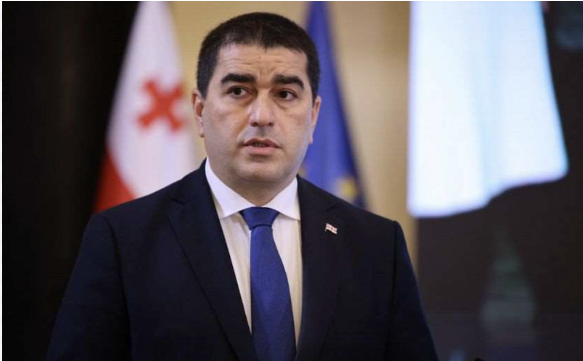 Վրաստանի խորհրդարանի խոսնակը քննադատում է ԵՄ և ԵԽԽՎ որոշումները՝ դրանք անվանելով «կարմիր գծերի» խախտում